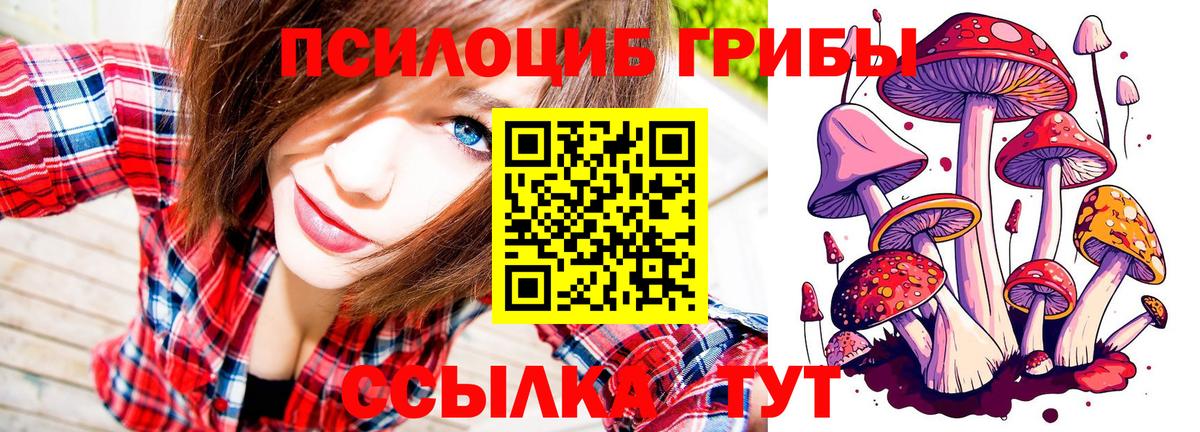 Лесосибирск  Галлюциногенные грибы Psilocybine cubensis  сколько стоит  Вход с VPN 